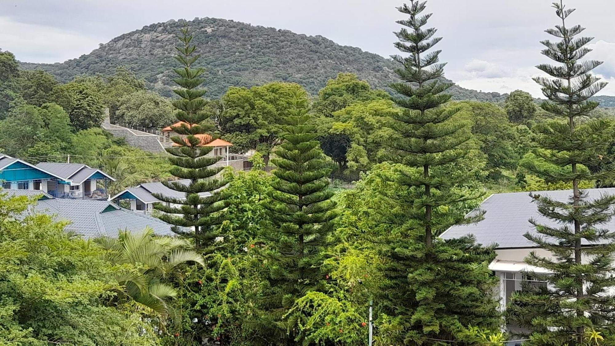 Hotel Mgm Whispering Wind'S Yelagiri Exteriér fotografie